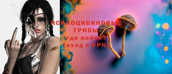 2c-b Богородицк