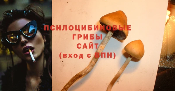спайс Богородск
