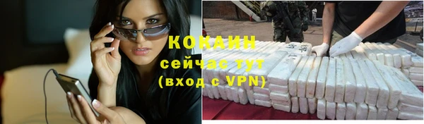 2c-b Богородицк