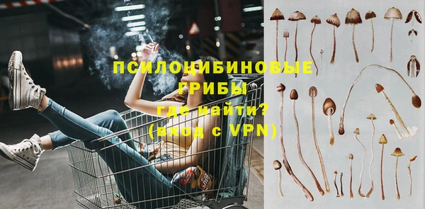 каннабис Богданович