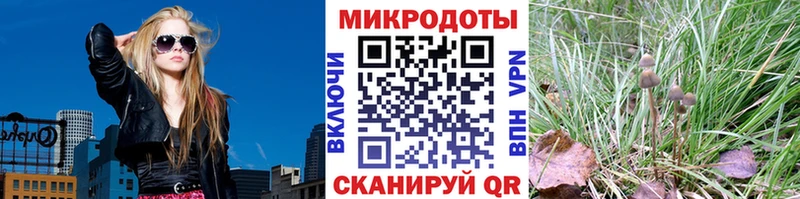 Псилоцибиновые грибы GOLDEN TEACHER  Новый Уренгой 
